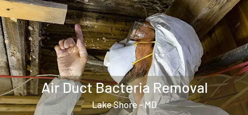 Air Duct Bacteria Removal Lake Shore - MD