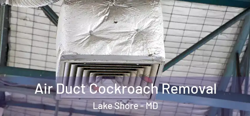  Air Duct Cockroach Removal Lake Shore - MD