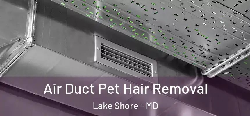 Air Duct Pet Hair Removal Lake Shore - MD