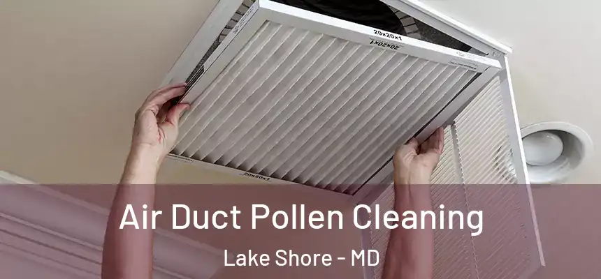 Air Duct Pollen Cleaning Lake Shore - MD