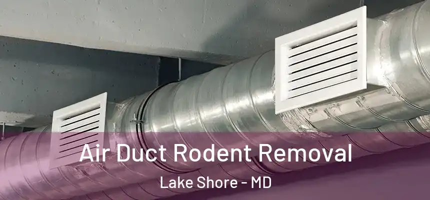  Air Duct Rodent Removal Lake Shore - MD