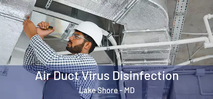  Air Duct Virus Disinfection Lake Shore - MD