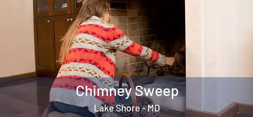 Chimney Sweep Lake Shore - MD