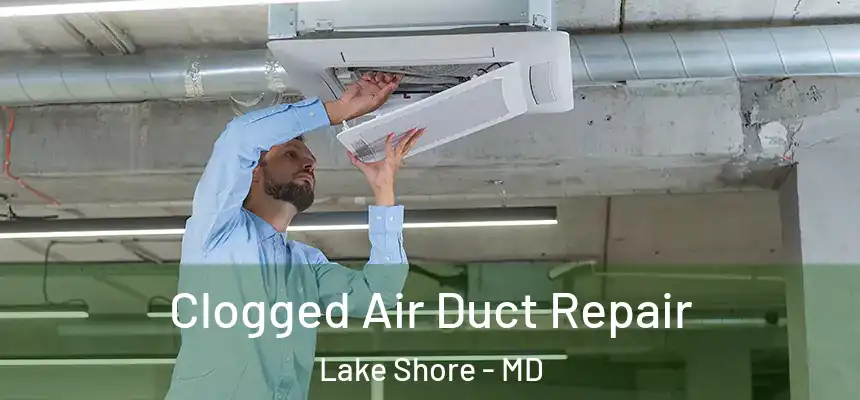 Clogged Air Duct Repair Lake Shore - MD