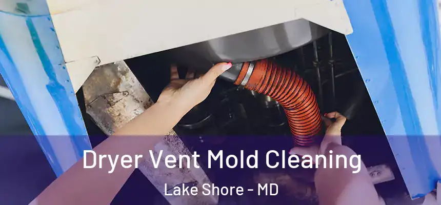 Dryer Vent Mold Cleaning Lake Shore - MD