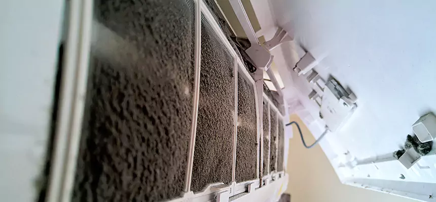 Preventive Air Duct Bacteria Removal in Lake Shore