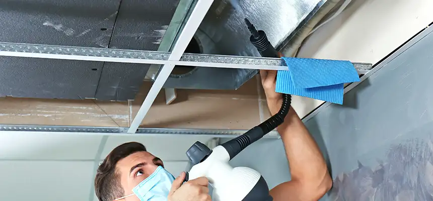 Our Air Duct Rodent Removal Services in Lake Shore, MD
