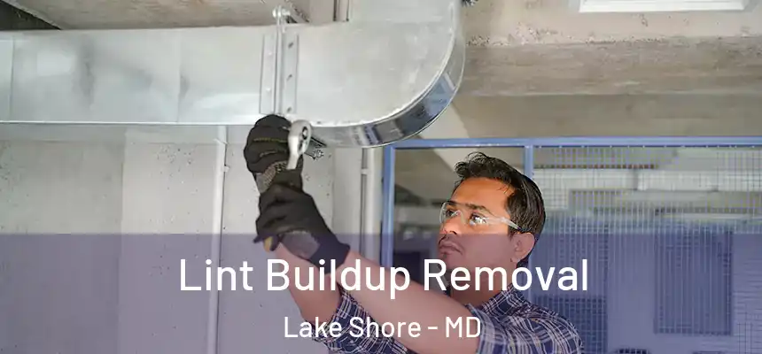  Lint Buildup Removal Lake Shore - MD