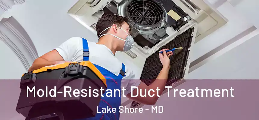  Mold-Resistant Duct Treatment Lake Shore - MD