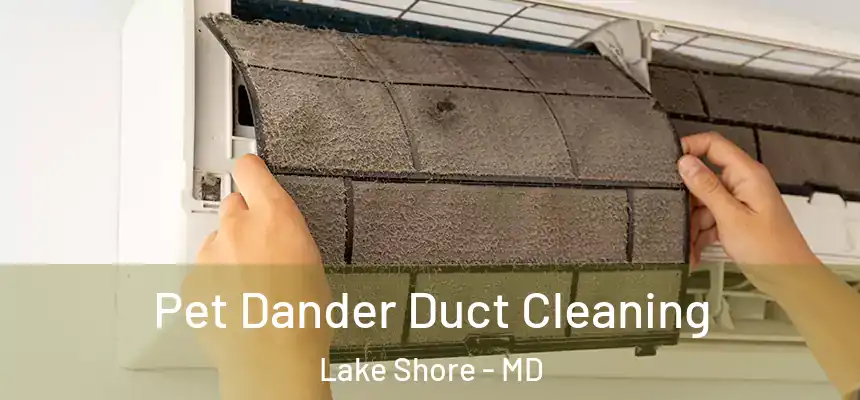  Pet Dander Duct Cleaning Lake Shore - MD