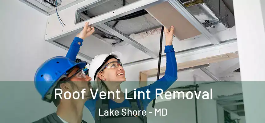 Roof Vent Lint Removal Lake Shore - MD