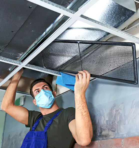About Air Duct Bacteria Removal in Lake Shore