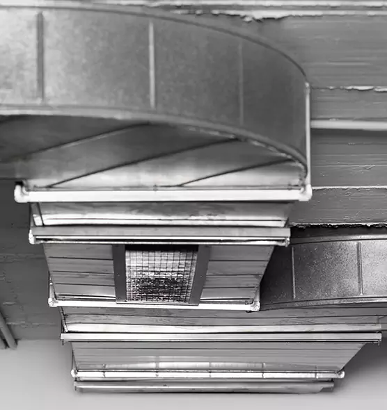 Professional Air Duct Pest Removal in Lake Shore, MD