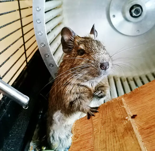 Why Homeowners & Businesses Trust Us Lake Shore, MD?