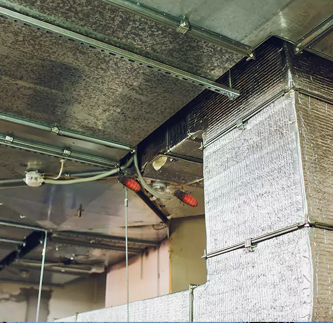 Why Homeowners & Businesses Trust Us Lake Shore, MD?