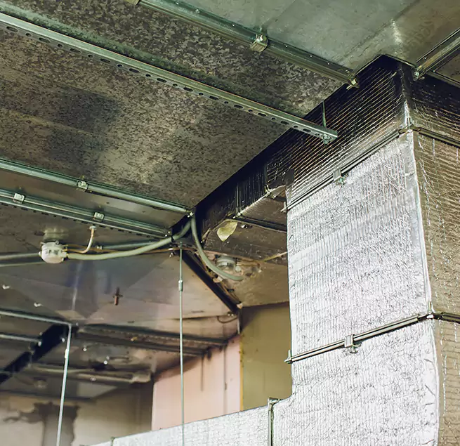 Why Homeowners & Businesses Trust Us in Lake Shore, MD?